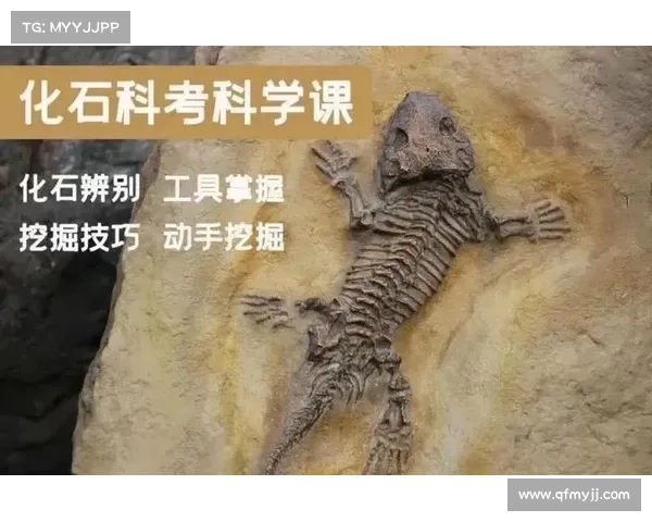 化石赛事直播化石赛事直播盛典全景直击探索远古生命遗迹共享科学发现奇妙旅程 化石赛事直播化石赛事直播盛典全景直击探索远古生命遗迹共享科学发现奇妙旅程